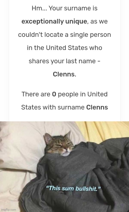 image tagged in this sum bullshit cat | made w/ Imgflip meme maker
