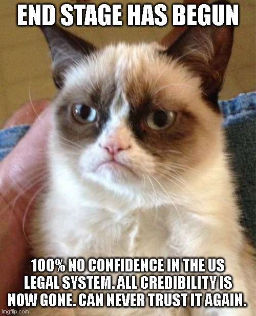 No Confidence | END STAGE HAS BEGUN; 100% NO CONFIDENCE IN THE US LEGAL SYSTEM. ALL CREDIBILITY IS NOW GONE. CAN NEVER TRUST IT AGAIN. | image tagged in memes,grumpy cat,lies,wrong,evil | made w/ Imgflip meme maker
