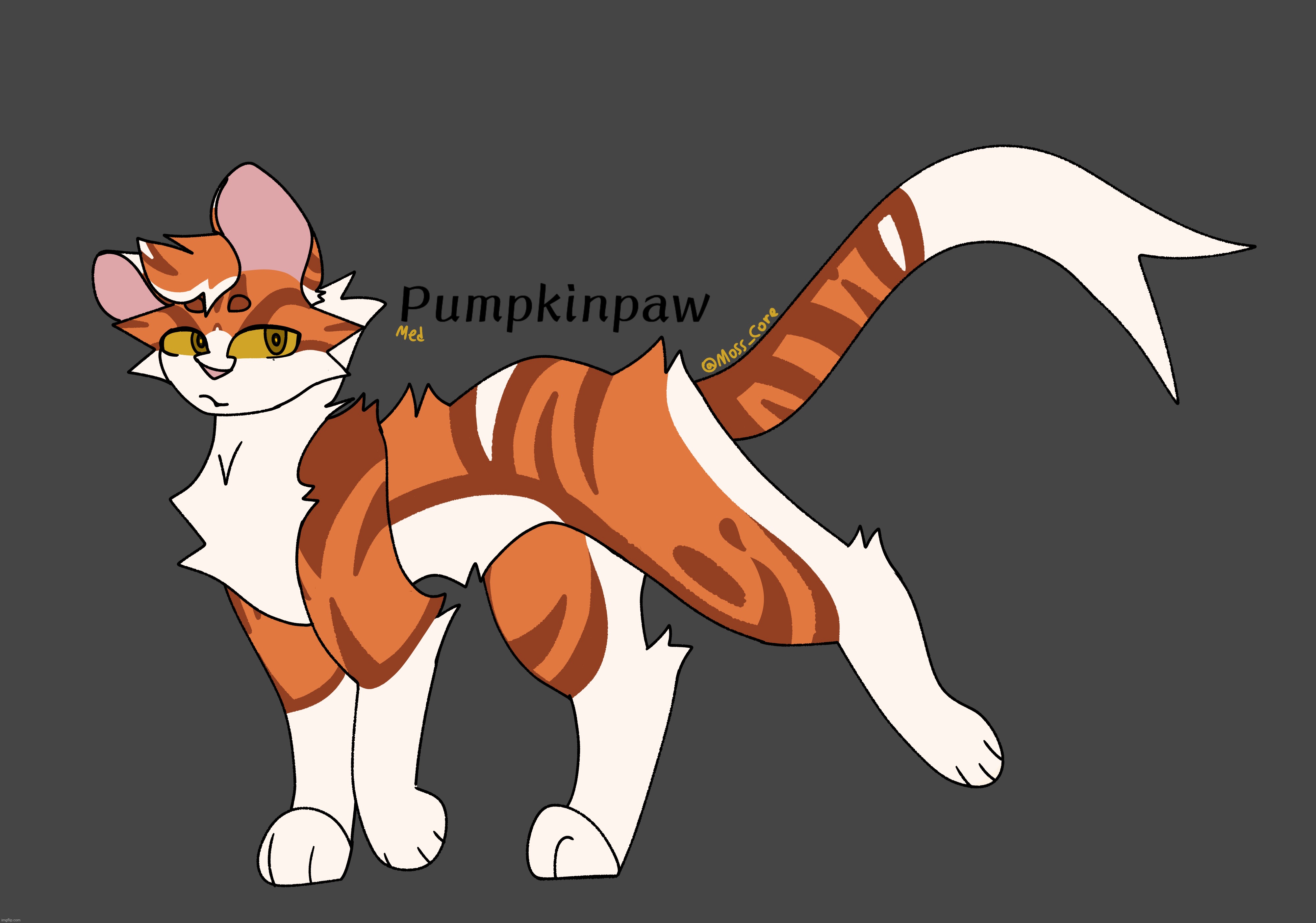 Not a huge fan of his head fluff but yk | image tagged in warrior cats,oc,moss_art | made w/ Imgflip meme maker