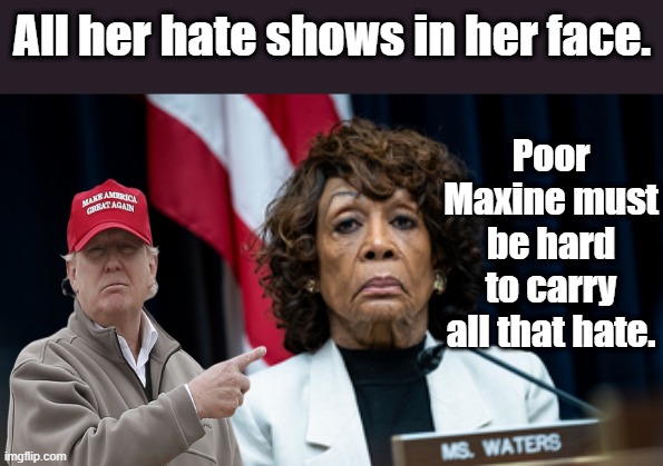 MAXINE has promote violence and anarcy her who life. | All her hate shows in her face. Poor Maxine must be hard to carry all that hate. | made w/ Imgflip meme maker
