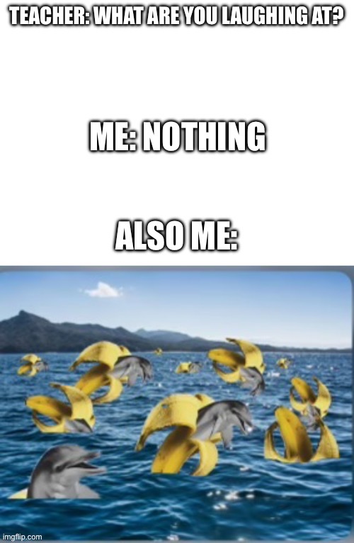 This is just a repost of one of my memes I made a while ago | image tagged in memes,banana,dolphin | made w/ Imgflip meme maker