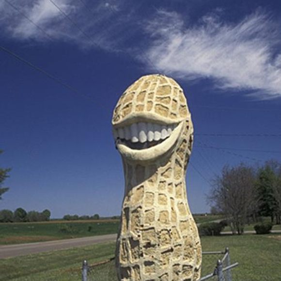 High Quality Jimmy Carter peanut statue Blank Meme Template