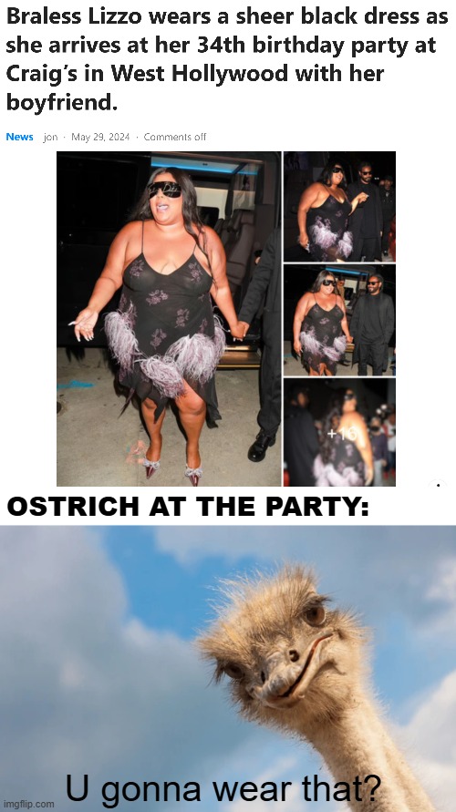 OSTRICH AT THE PARTY:; U gonna wear that? | image tagged in lizzo,funny | made w/ Imgflip meme maker