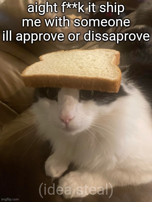bread cat | aight f**k it ship me with someone ill approve or dissaprove; (idea steal) | image tagged in bread cat | made w/ Imgflip meme maker