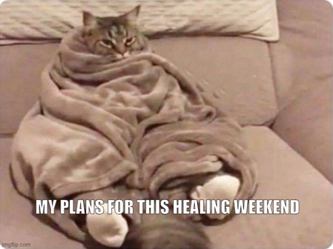 plans for the weekend | MY PLANS FOR THIS HEALING WEEKEND | image tagged in plans for the weekend | made w/ Imgflip meme maker