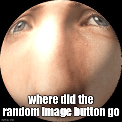 logan ball | where did the random image button go | image tagged in logan ball | made w/ Imgflip meme maker