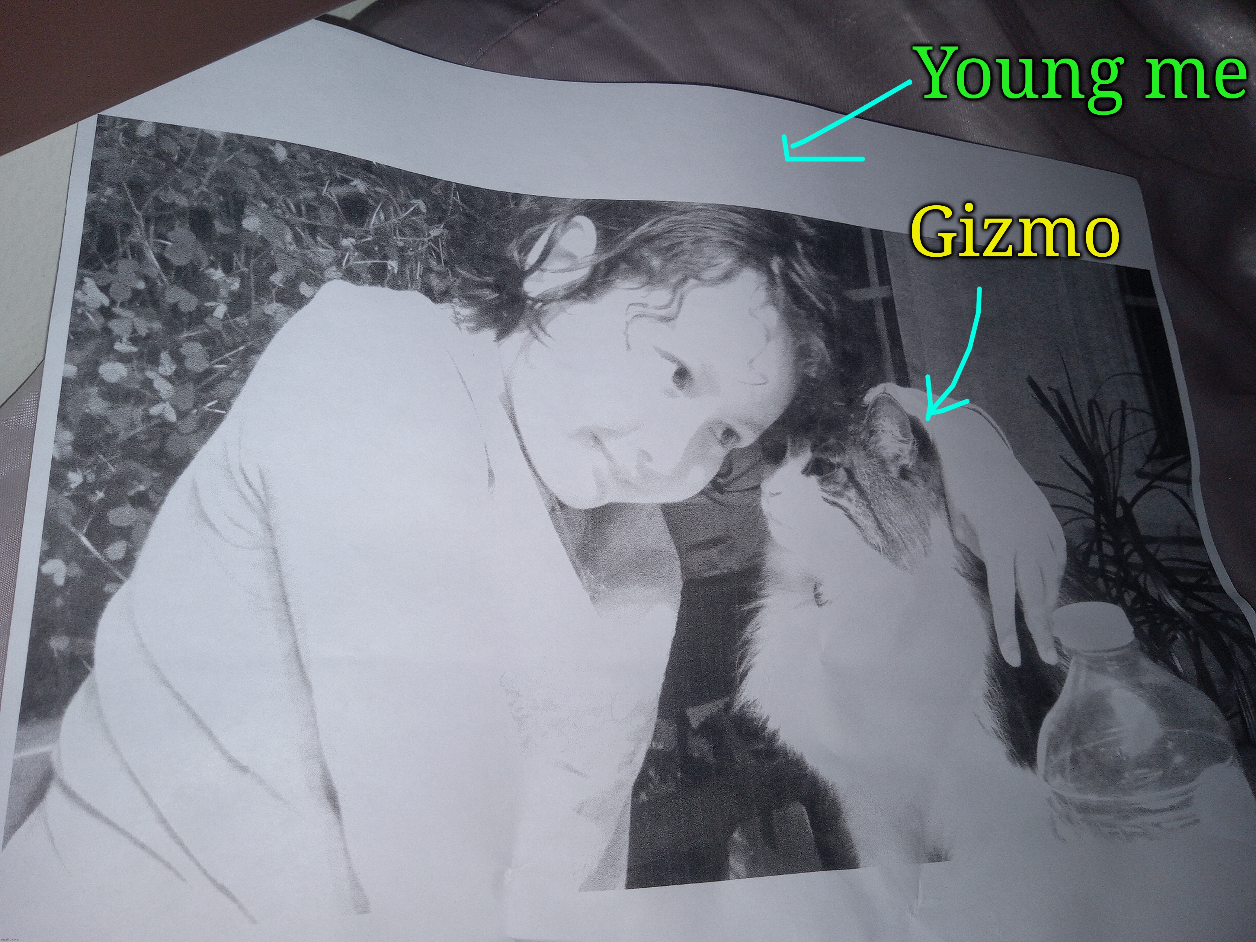The | Gizmo; Young me | made w/ Imgflip meme maker