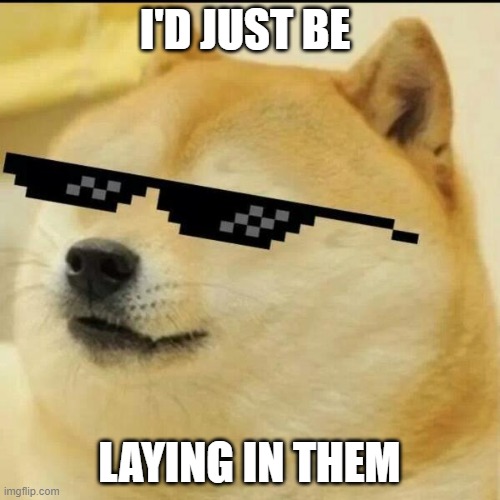 No context | I'D JUST BE LAYING IN THEM | image tagged in sunglass doge | made w/ Imgflip meme maker