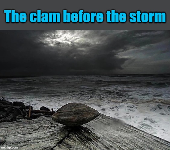 Very punny | The clam before the storm | image tagged in memes,clam | made w/ Imgflip meme maker