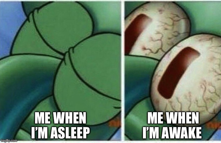 Squidward | ME WHEN I’M ASLEEP; ME WHEN I’M AWAKE | image tagged in squidward | made w/ Imgflip meme maker