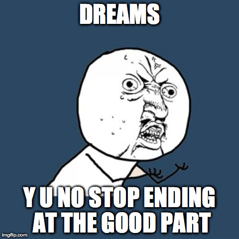 Y U No | DREAMS Y U NO STOP ENDING AT THE GOOD PART | image tagged in memes,y u no | made w/ Imgflip meme maker