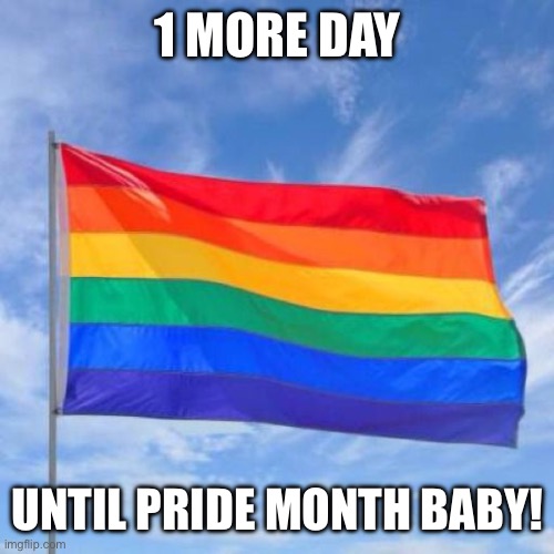 1 MORE DAY!!! | 1 MORE DAY; UNTIL PRIDE MONTH BABY! | image tagged in gay pride flag | made w/ Imgflip meme maker