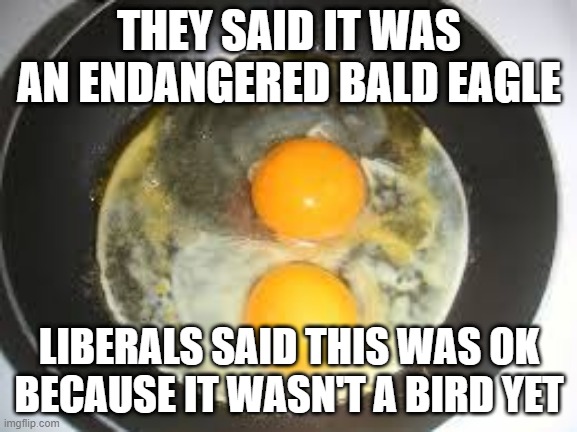 Abortion arguments in other situations part 1 | THEY SAID IT WAS AN ENDANGERED BALD EAGLE; LIBERALS SAID THIS WAS OK BECAUSE IT WASN'T A BIRD YET | image tagged in fried eggs | made w/ Imgflip meme maker
