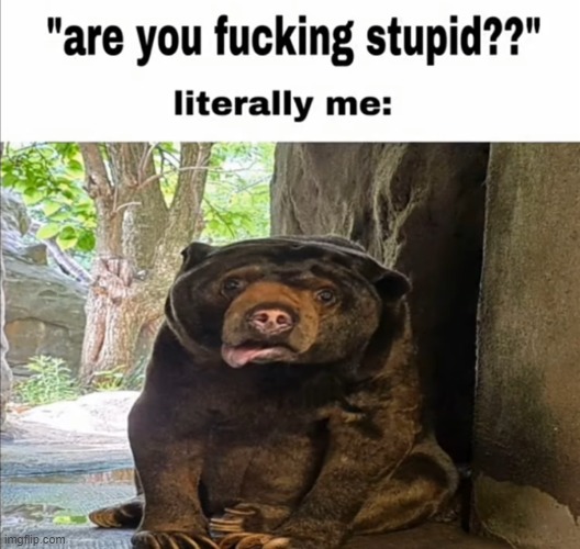 image tagged in kid named stupid | made w/ Imgflip meme maker
