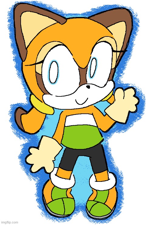 Marine the Raccoon | made w/ Imgflip meme maker