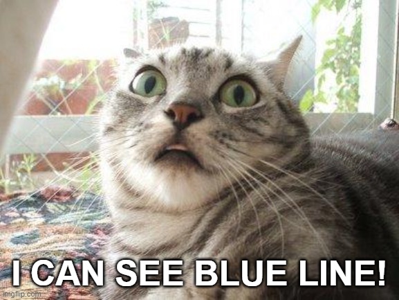 shocked cat | I CAN SEE BLUE LINE! | image tagged in shocked cat | made w/ Imgflip meme maker