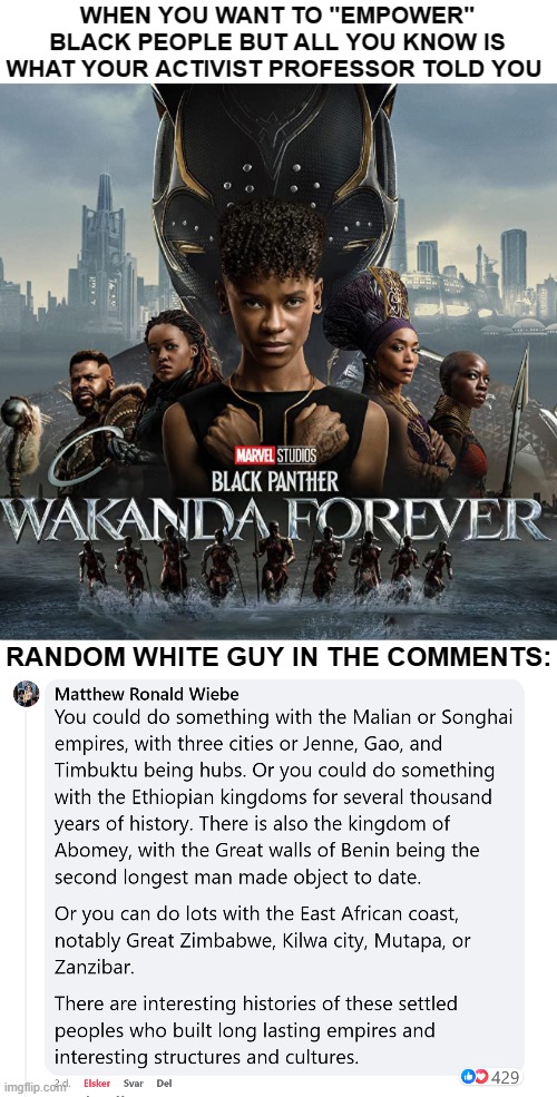 You finish education as a cartoon | RANDOM WHITE GUY IN THE COMMENTS: | image tagged in black panther,wakanda forever | made w/ Imgflip meme maker