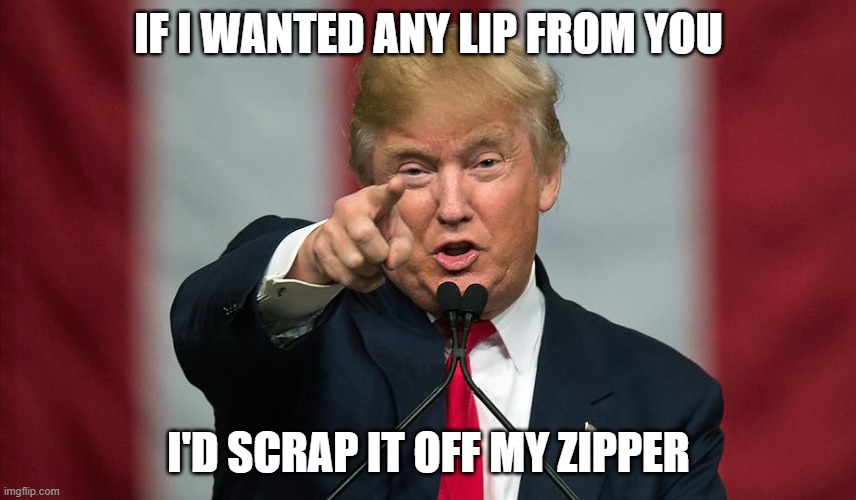 lip from you | IF I WANTED ANY LIP FROM YOU; I'D SCRAP IT OFF MY ZIPPER | image tagged in donald trump,zipper | made w/ Imgflip meme maker