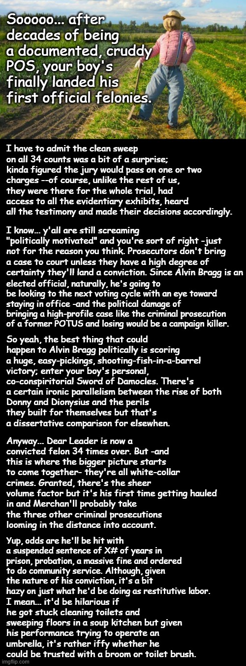 Well howdy Trump-cult kids, it's Socialism again and today's subject is the bigger picture. | Sooooo... after decades of being a documented, cruddy POS, your boy's finally landed his first official felonies. I have to admit the clean sweep on all 34 counts was a bit of a surprise; kinda figured the jury would pass on one or two charges --of course, unlike the rest of us, they were there for the whole trial, had access to all the evidentiary exhibits, heard all the testimony and made their decisions accordingly. I know... y'all are still screaming "politically motivated" and you're sort of right -just not for the reason you think. Prosecutors don't bring a case to court unless they have a high degree of certainty they'll land a conviction. Since Alvin Bragg is an; elected official, naturally, he's going to be looking to the next voting cycle with an eye toward staying in office -and the political damage of bringing a high-profile case like the criminal prosecution of a former POTUS and losing would be a campaign killer. So yeah, the best thing that could happen to Alvin Bragg politically is scoring a huge, easy-pickings, shooting-fish-in-a-barrel victory; enter your boy's personal, co-conspiritorial Sword of Damocles. There's a certain ironic parallelism between the rise of both; Donny and Dionysius and the perils they built for themselves but that's a dissertative comparison for elsewhen. Anyway... Dear Leader is now a convicted felon 34 times over. But -and this is where the bigger picture starts to come together- they're all white-collar crimes. Granted, there's the sheer volume factor but it's his first time getting hauled; in and Merchan'll probably take the three other criminal prosecutions looming in the distance into account. Yup, odds are he'll be hit with a suspended sentence of X# of years in prison, probation, a massive fine and ordered to do community service. Although, given the nature of his conviction, it's a bit hazy on just what he'd be doing as restitutive labor. I mean... it'd be hilarious if he got stuck cleaning toilets and sweeping floors in a soup kitchen but given his performance trying to operate an umbrella, it's rather iffy whether he could be trusted with a broom or toilet brush. | image tagged in scarecrow in field,its official,trump unfit unqualified dangerous,stupid,criminal | made w/ Imgflip meme maker