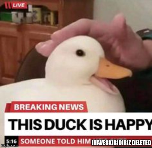 happy duck | IHAVESKIBIDIRIZ DELETED | image tagged in happy duck | made w/ Imgflip meme maker