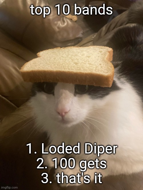 bread cat | top 10 bands; 1. Loded Diper
2. 100 gecs
3. that's it | image tagged in bread cat | made w/ Imgflip meme maker