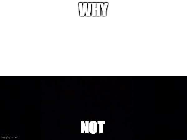 WHY; NOT | made w/ Imgflip meme maker