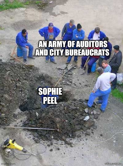 single worker digging hole | AN ARMY OF AUDITORS AND CITY BUREAUCRATS; SOPHIE PEEL | image tagged in single worker digging hole | made w/ Imgflip meme maker