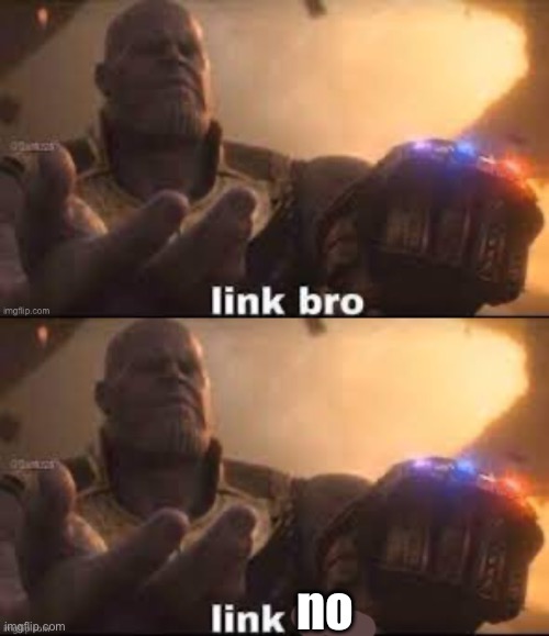 no | image tagged in link bro | made w/ Imgflip meme maker