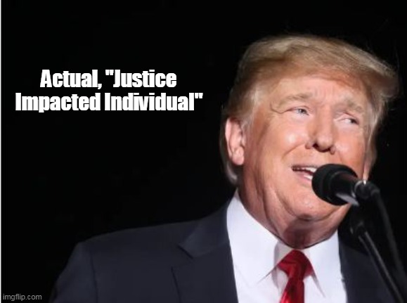 Didn't hear this on THE VIEW | Actual, "Justice Impacted Individual" | made w/ Imgflip meme maker