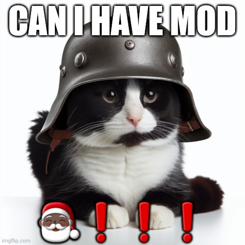 Kaiser_Floppa_the_1st silly post | CAN I HAVE MOD; 🎅🏿❗️❗️❗️ | image tagged in kaiser_floppa_the_1st silly post | made w/ Imgflip meme maker