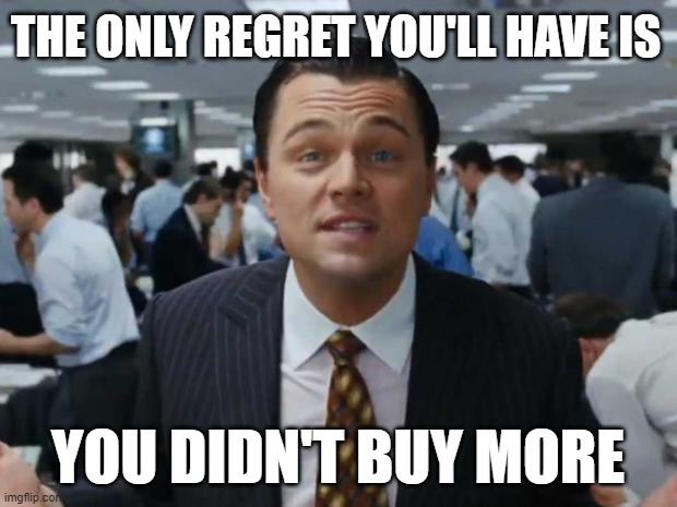 The Wolf of Wall Street | THE ONLY REGRET YOU'LL HAVE IS; YOU DIDN'T BUY MORE | image tagged in the wolf of wall street | made w/ Imgflip meme maker