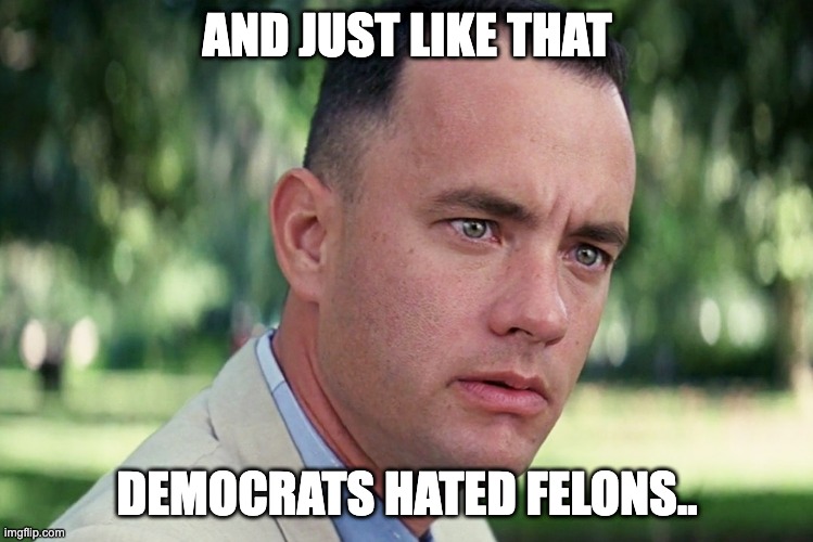 And Just Like That Meme | AND JUST LIKE THAT; DEMOCRATS HATED FELONS.. | image tagged in memes,and just like that | made w/ Imgflip meme maker