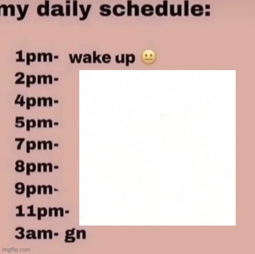 Me Daily Schedule: Blank Meme Template