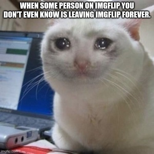 am I the only one? | WHEN SOME PERSON ON IMGFLIP YOU DON'T EVEN KNOW IS LEAVING IMGFLIP FOREVER. | image tagged in crying cat | made w/ Imgflip meme maker