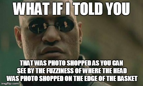 Matrix Morpheus Meme | WHAT IF I TOLD YOU THAT WAS PHOTO SHOPPED AS YOU CAN SEE BY THE FUZZINESS OF WHERE THE HEAD WAS PHOTO SHOPPED ON THE EDGE OF THE BASKET | image tagged in memes,matrix morpheus | made w/ Imgflip meme maker