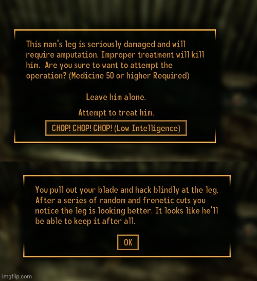 This is why I love being an idiot in New Vegas | made w/ Imgflip meme maker