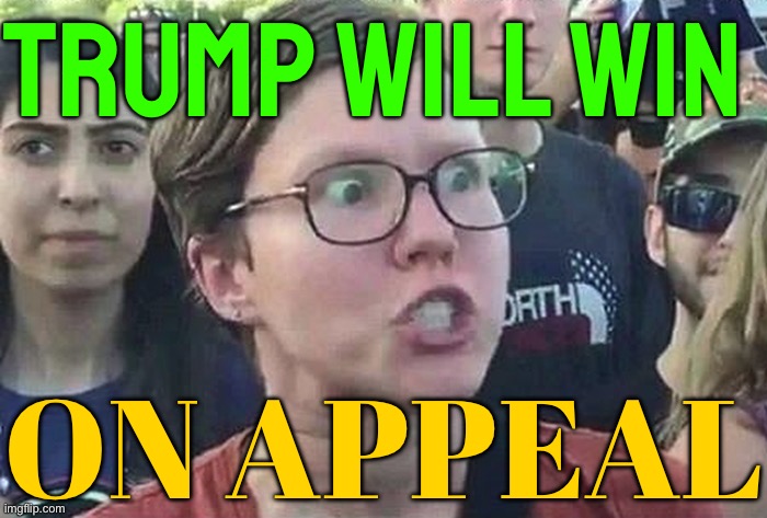 Trump Says He Will Appeal | TRUMP WILL WIN; ON APPEAL | image tagged in triggered liberal,donald trump approves,breaking news,triggered,trump,stupid liberals | made w/ Imgflip meme maker