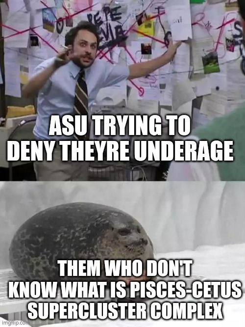 ur not underage if u know pisces-cetus supercluster complex!!! | ASU TRYING TO DENY THEYRE UNDERAGE; THEM WHO DON'T KNOW WHAT IS PISCES-CETUS SUPERCLUSTER COMPLEX | image tagged in man explaining to seal | made w/ Imgflip meme maker