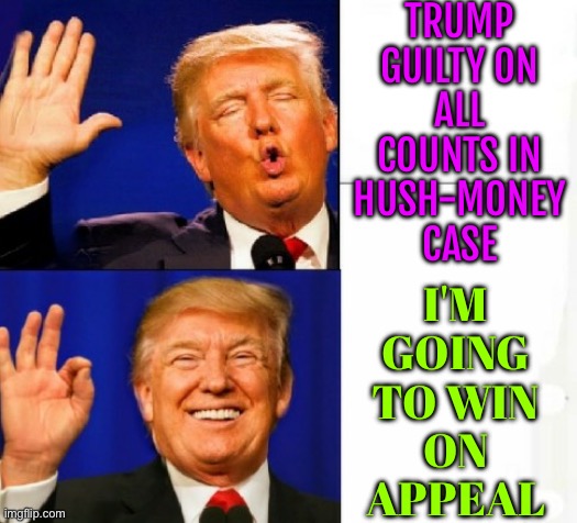 Trump Calls Trial A Scam | TRUMP
GUILTY ON
ALL
COUNTS IN
HUSH-MONEY
CASE; I'M
GOING
TO WIN
ON
APPEAL | image tagged in donald trump yes/no,scam,scumbag america,scumbag government,donald trump,breaking news | made w/ Imgflip meme maker
