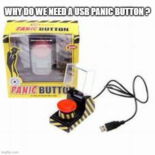 memes by Brad - Why do we need a USB panic button? | WHY DO WE NEED A USB PANIC BUTTON ? | image tagged in gaming,funny,computer,pc gaming,computer games,humor | made w/ Imgflip meme maker