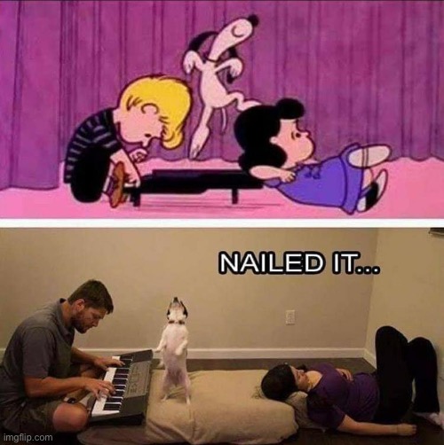 Snoopy II | image tagged in nailed it,dog,snoopy | made w/ Imgflip meme maker