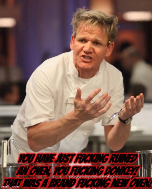 YOU HAVE JUST FUCKING RUINED AN OVEN, YOU FUCKING DONKEY! THAT WAS A BRAND FUCKING NEW OVEN! | image tagged in gordon ramsay | made w/ Imgflip meme maker