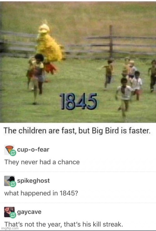 Kill streak | image tagged in kill streak,big bird | made w/ Imgflip meme maker