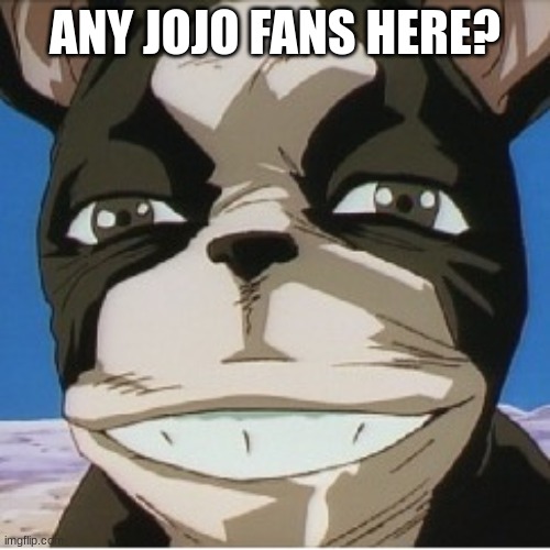 iggy | ANY JOJO FANS HERE? | image tagged in iggy | made w/ Imgflip meme maker