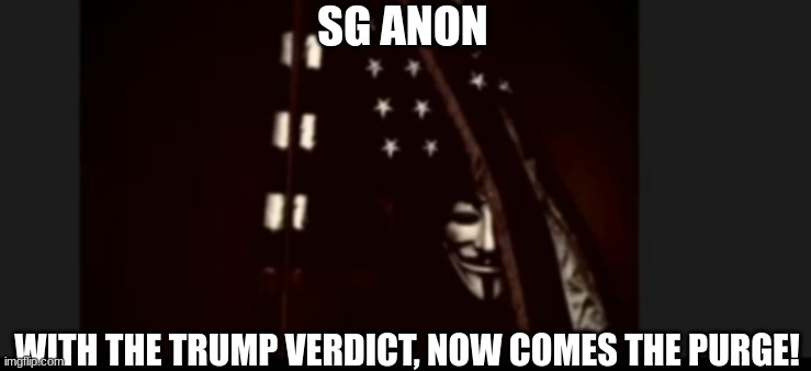 SG Anon: With the Trump Verdict, Now Comes the Purge!  (Video) 
