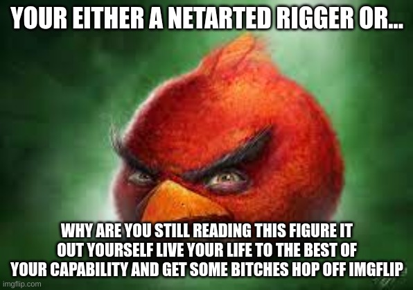 Real Title | YOUR EITHER A NETARTED RIGGER OR... WHY ARE YOU STILL READING THIS FIGURE IT OUT YOURSELF LIVE YOUR LIFE TO THE BEST OF YOUR CAPABILITY AND GET SOME BITCHES HOP OFF IMGFLIP | image tagged in realistic red angry birds | made w/ Imgflip meme maker