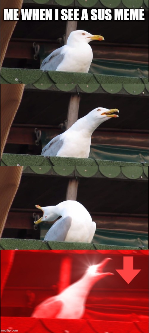 Inhaling Seagull Meme | ME WHEN I SEE A SUS MEME | image tagged in memes,inhaling seagull | made w/ Imgflip meme maker