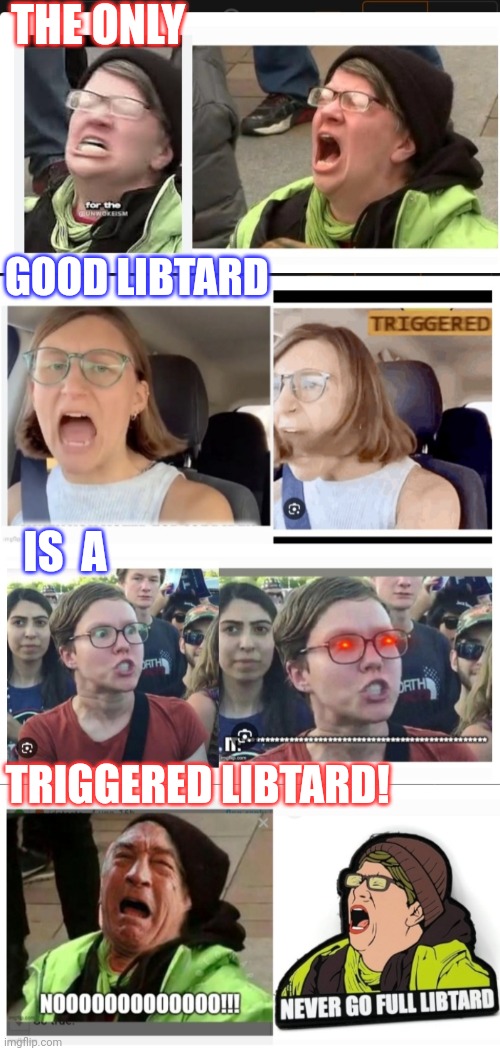 TRIGGERED LIBTARDS | THE ONLY; GOOD LIBTARD; IS  A; TRIGGERED LIBTARD! | image tagged in triggered,libtards | made w/ Imgflip meme maker