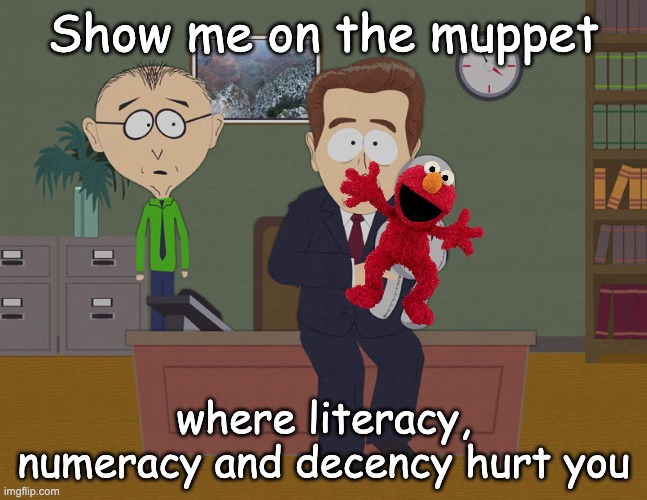 Show Me Where He Touched You On This Doll | Show me on the muppet where literacy, numeracy and decency hurt you | image tagged in show me where he touched you on this doll | made w/ Imgflip meme maker