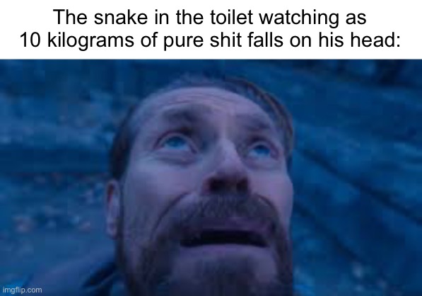 i just went poopoo | The snake in the toilet watching as 10 kilograms of pure shit falls on his head: | made w/ Imgflip meme maker